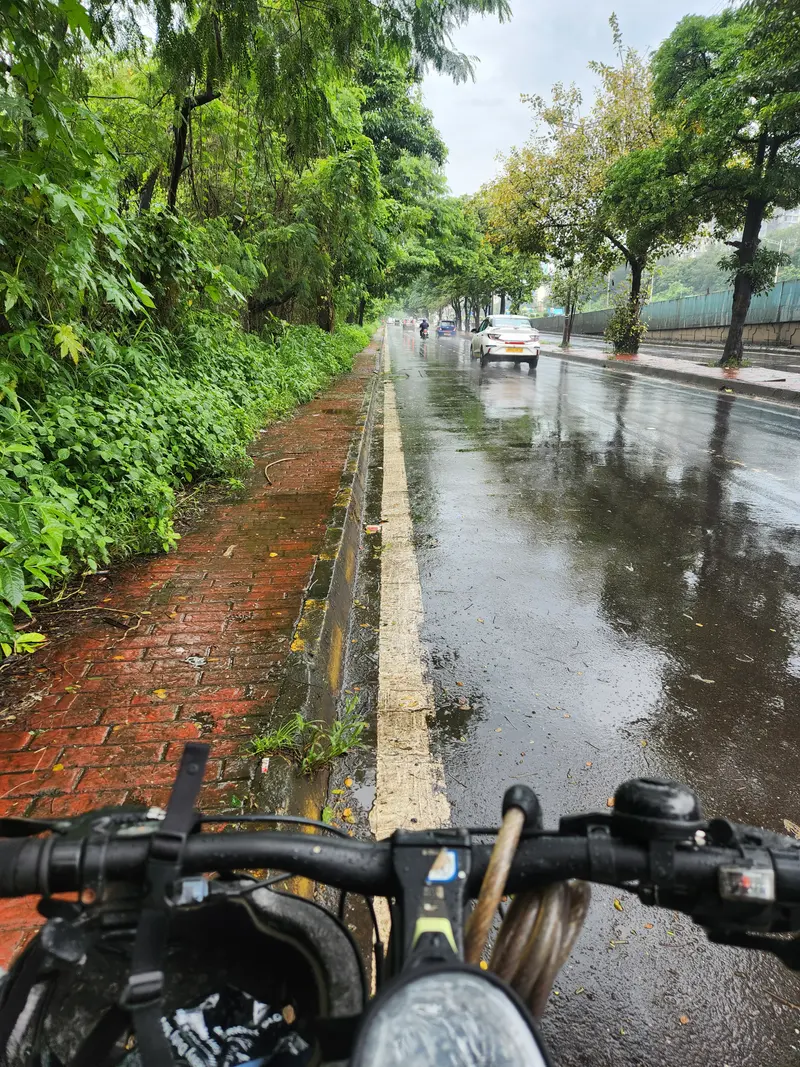 Handlebars of a mountain bike on a wet tree-lined road in the rain.